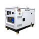 Дизельний генератор ITC Power DG12000XSEm (10 кВт) V-Twin Silent з водяним охолодженням та AVR